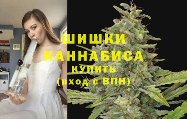ECSTASY Верея