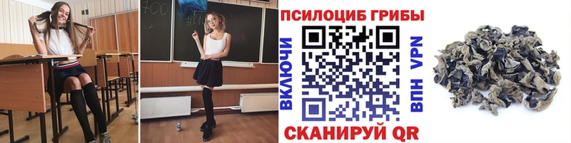 blacksprut как зайти Ува Псилоцибиновые грибы Cubensis