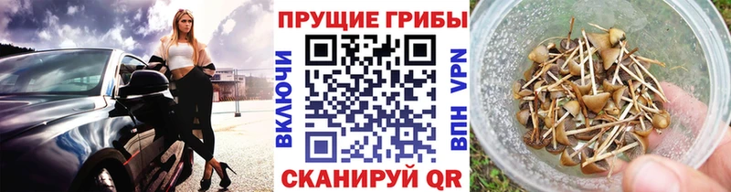 Галлюциногенные грибы Magic Shrooms Ува